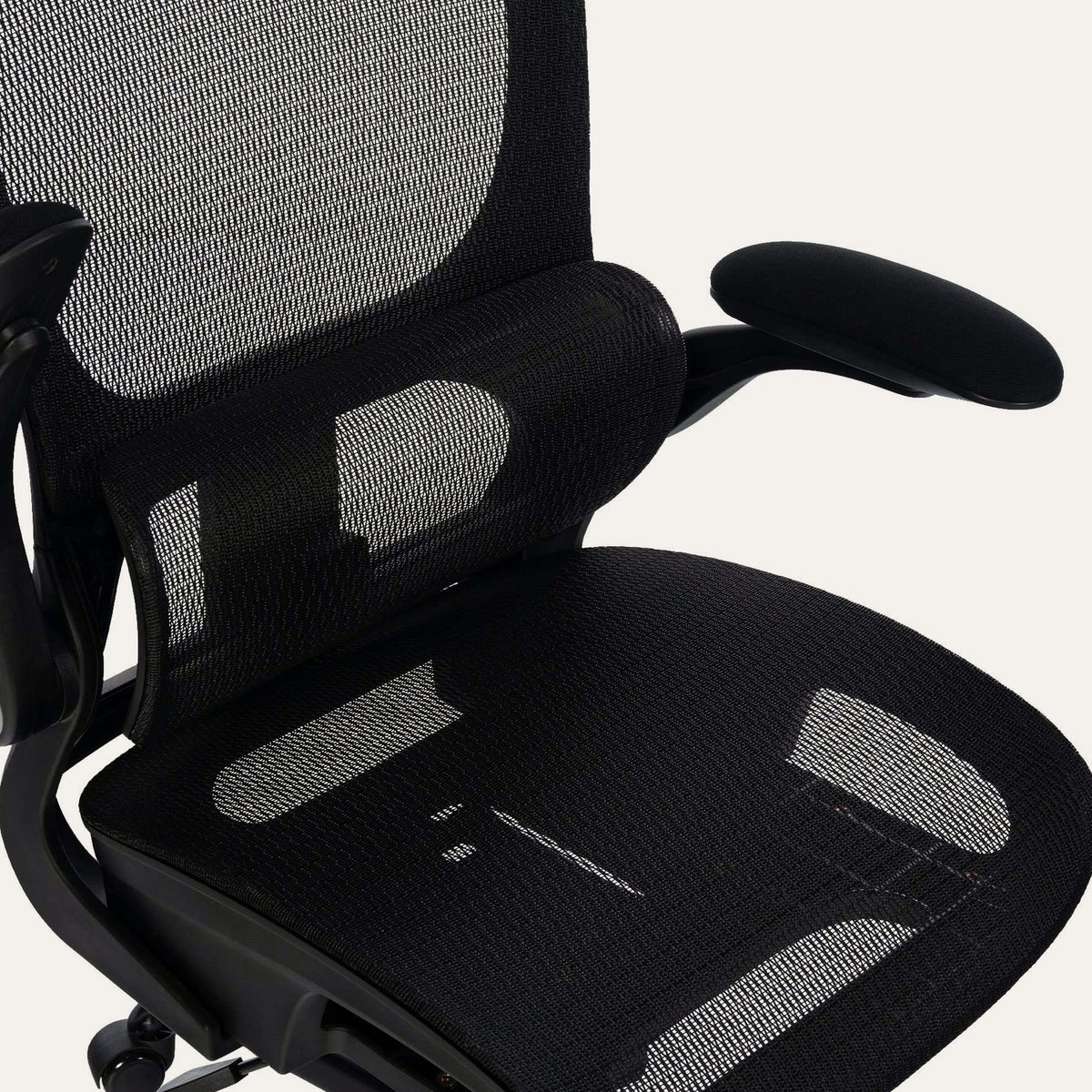 Soutien lombaire et assise en maille respirante de la chaise de télétravail Elvo Essentiel